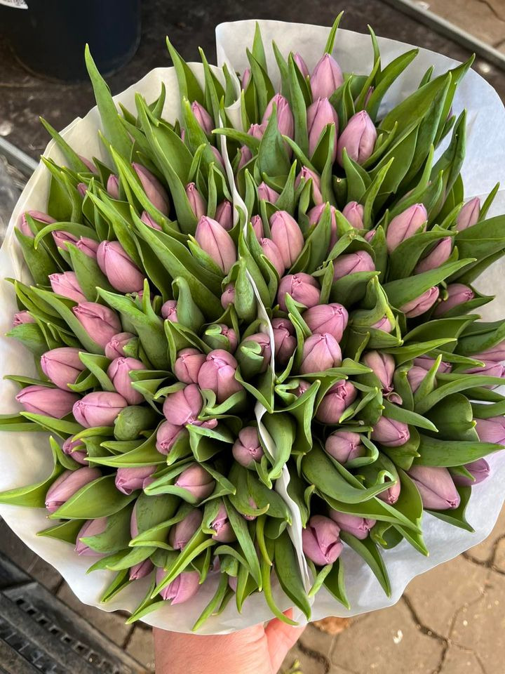 Hold dig ajour med dagens opdateringer fra Horsens