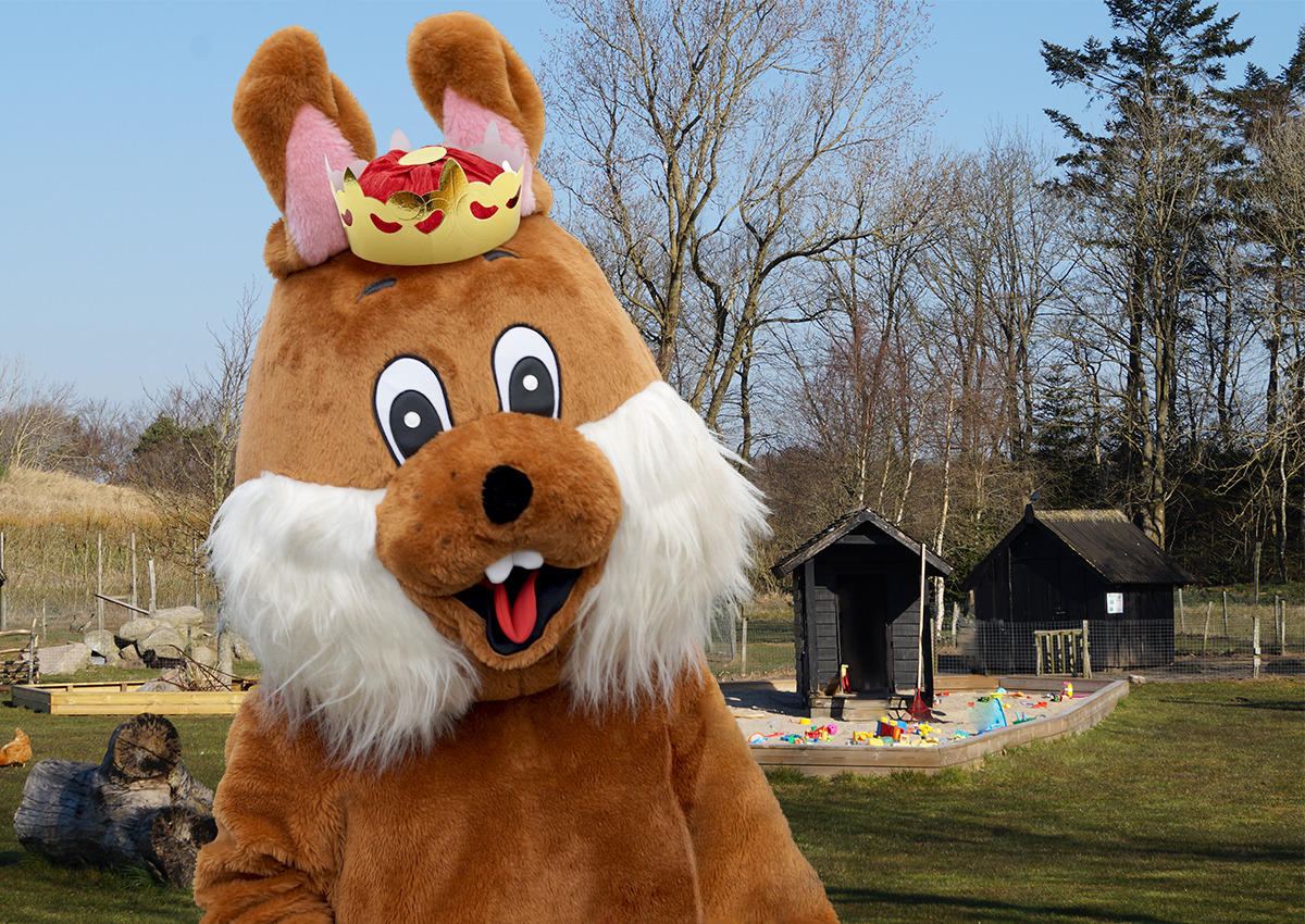 Slå katten af tønden og oplev gudstjeneste på Nymarksminde