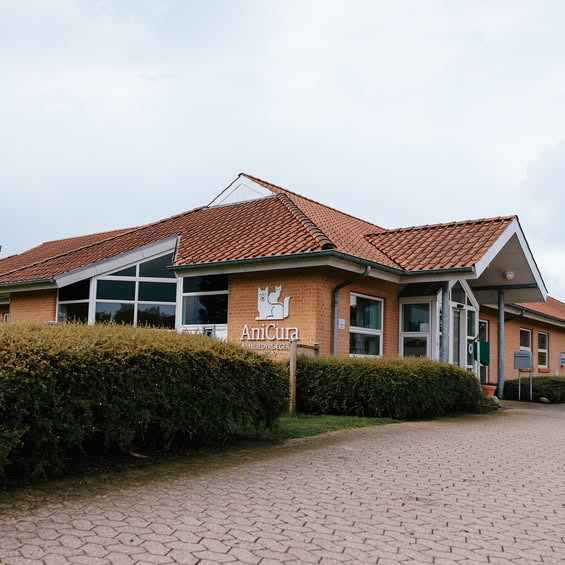 AniCura Familiedyrlægerne Aars inviterer til jubilæumsdag hos Hobro Dyrehospital
