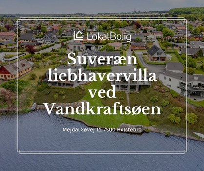 Opslagsbillede