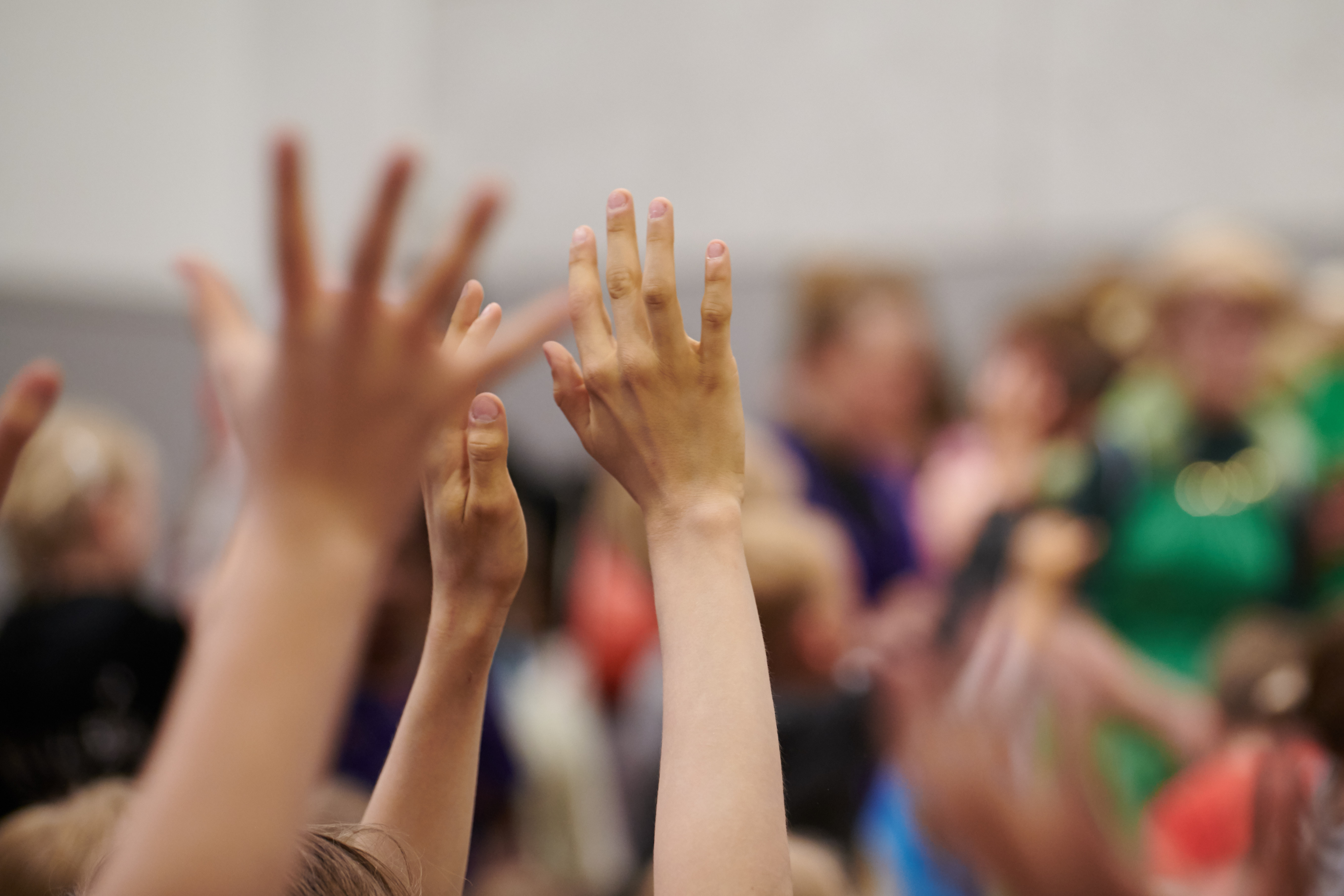 Du har flere STU-valgmuligheder fra 2025