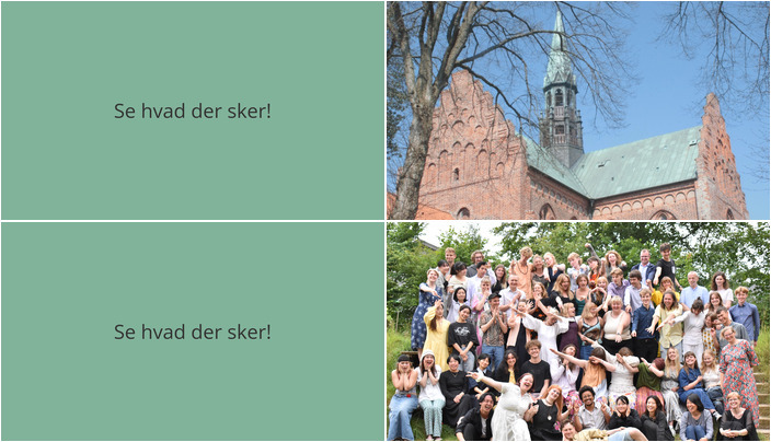 Hvad sker der i Løgumkloster denne weekend: Julekoncert og besøgsdag