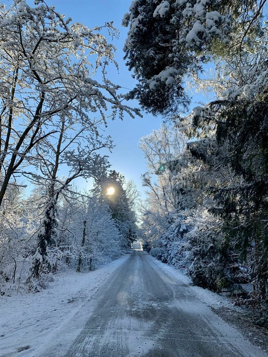 Netop kommet til salg: Asser Rigs Vej 2 en af Frederiksværks dyreste adresser