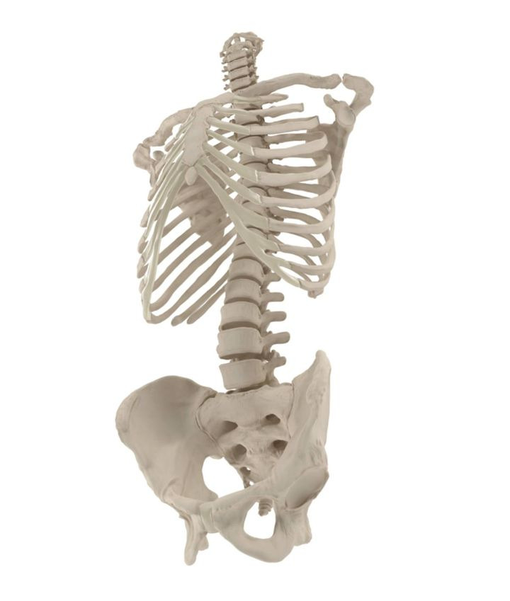 Hold dig ajour med dagens opdateringer fra Herning