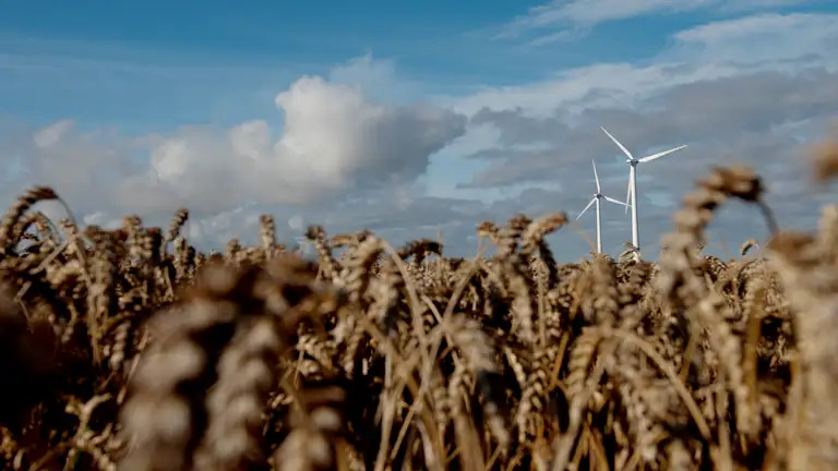 Thisted Kommune lancerer ambitiøs plan for grøn omstilling og jobskabelse i Energizonen Midtthy