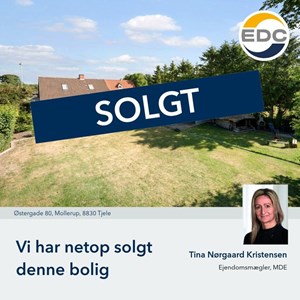 Opslagsbillede