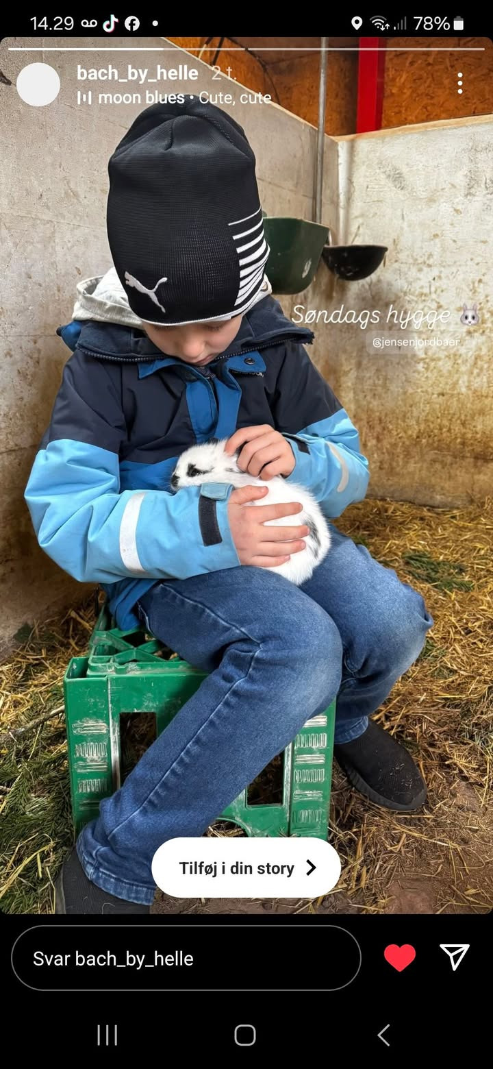 Jensen Jordbær annoncerer nytårskonkurrence med præmien Totte Får og minder om selvbetjening året rundt 
