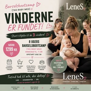 Opslagsbillede