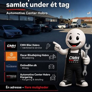 Opslagsbillede