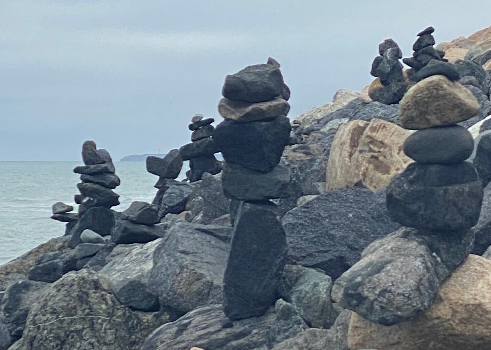 Ny dille i Lønstrup