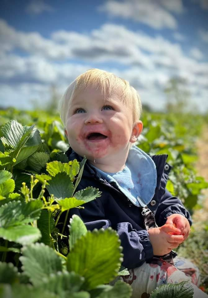 Det nyeste på Sæbys opslagstavle