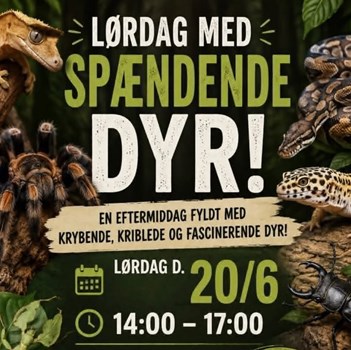 Opslagsbillede