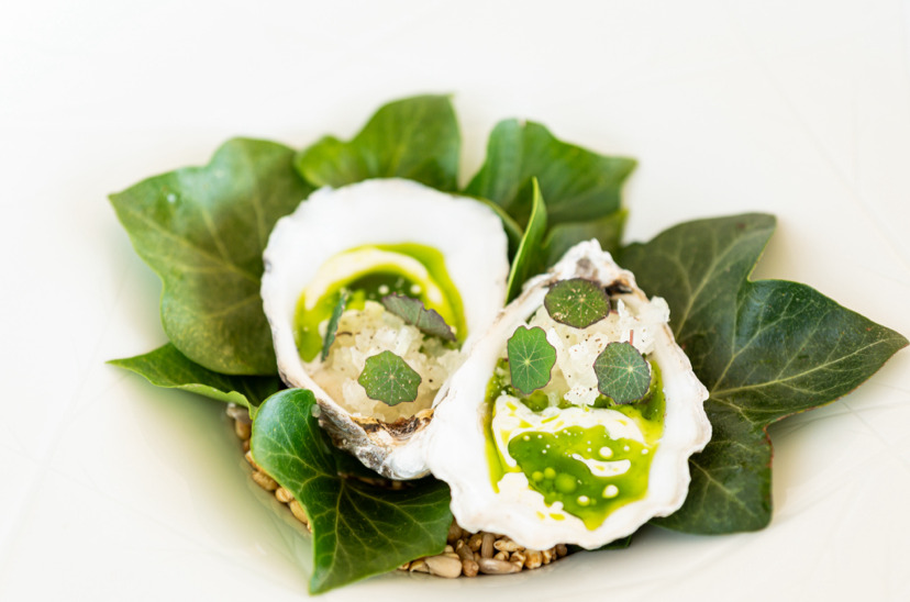 Nyd en skaldyrsaften ved vandkanten i Middelfart