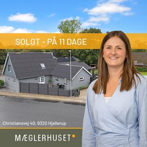 opslagsbillede