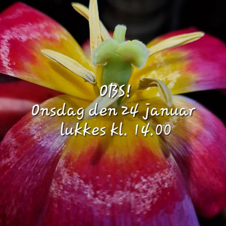 Hold trit med lokalområdet: Nyt fra Fredericia