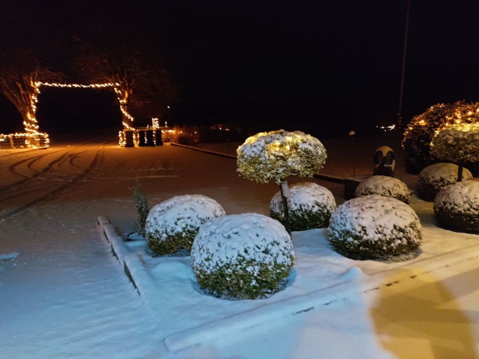 Se dagens updates fra Viborg her