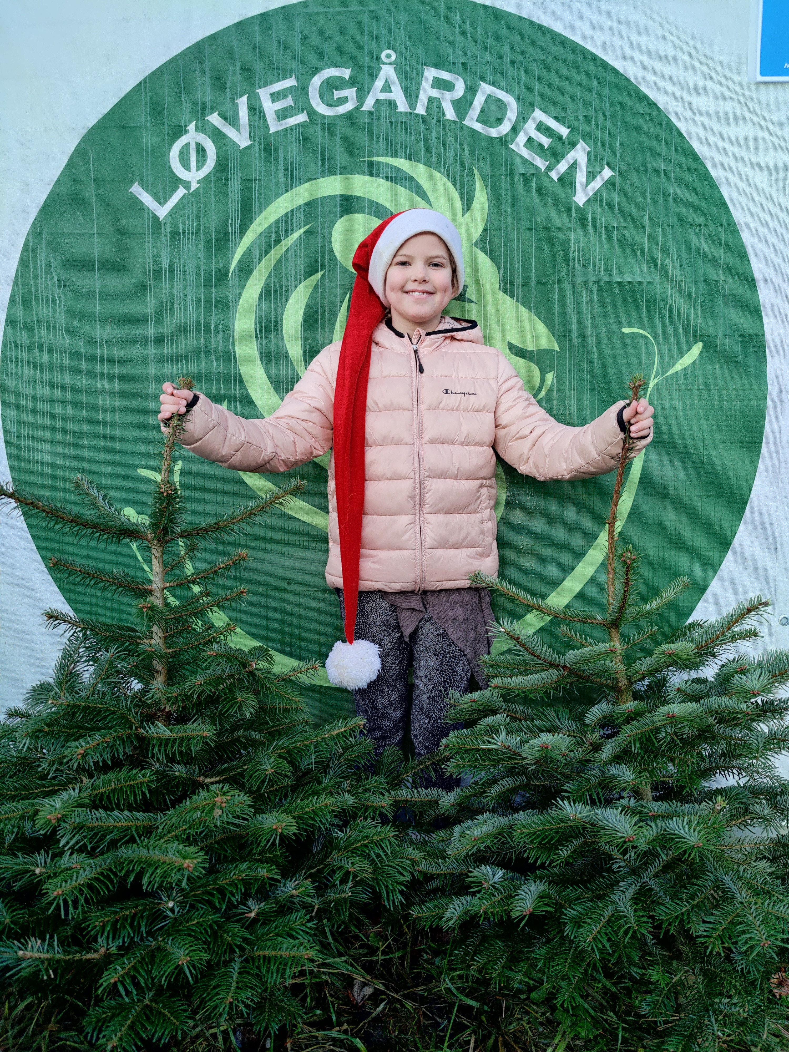 Julehygge på Løvegården: 2. søndag i advent
