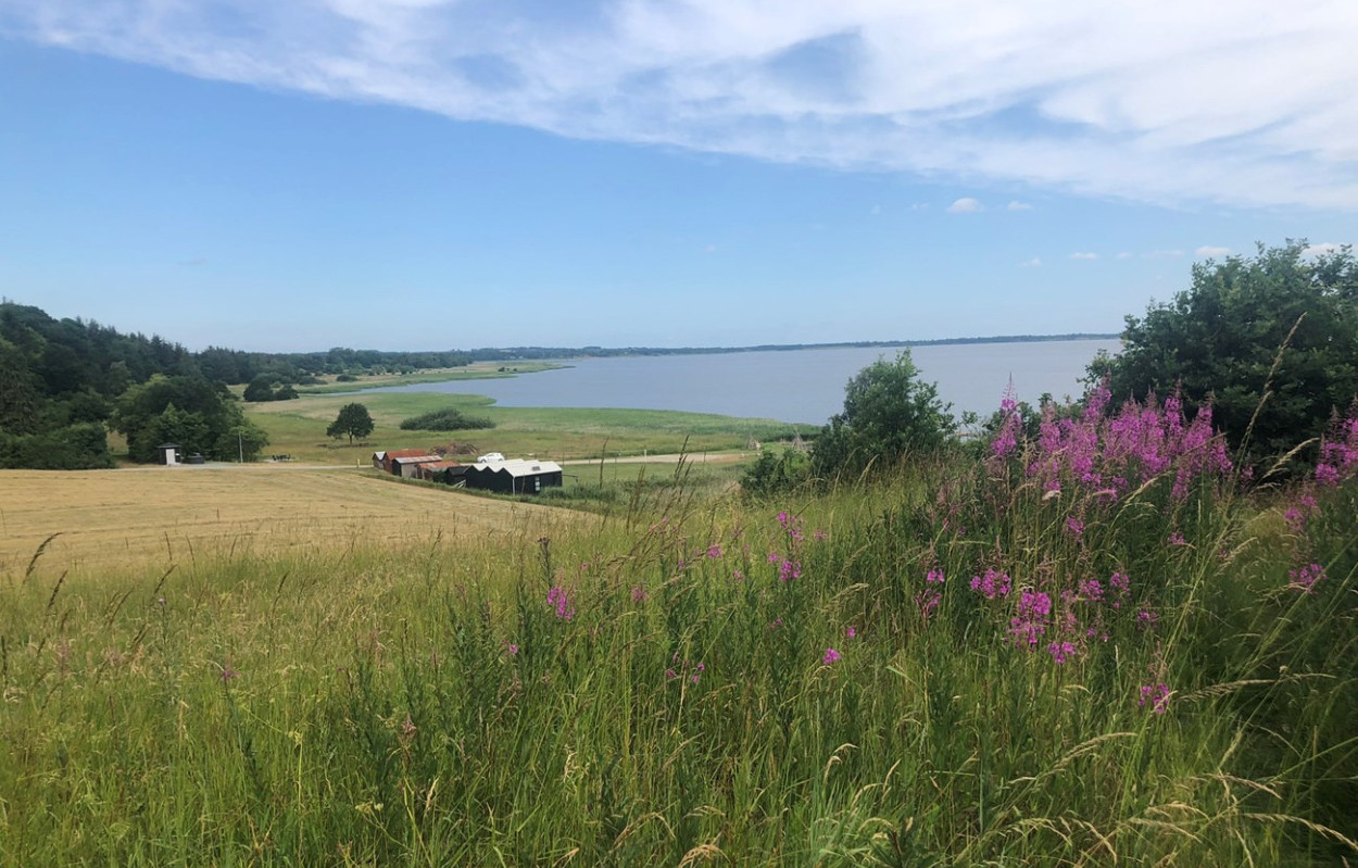 Kystvandrådet for den centrale del af Limfjorden anbefaler nye indsatser