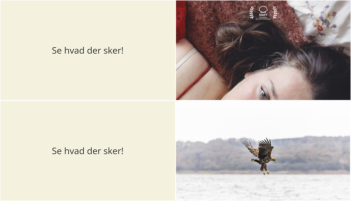 Oplev denne weekend i Mørkøv: Filmvisning og fugletur