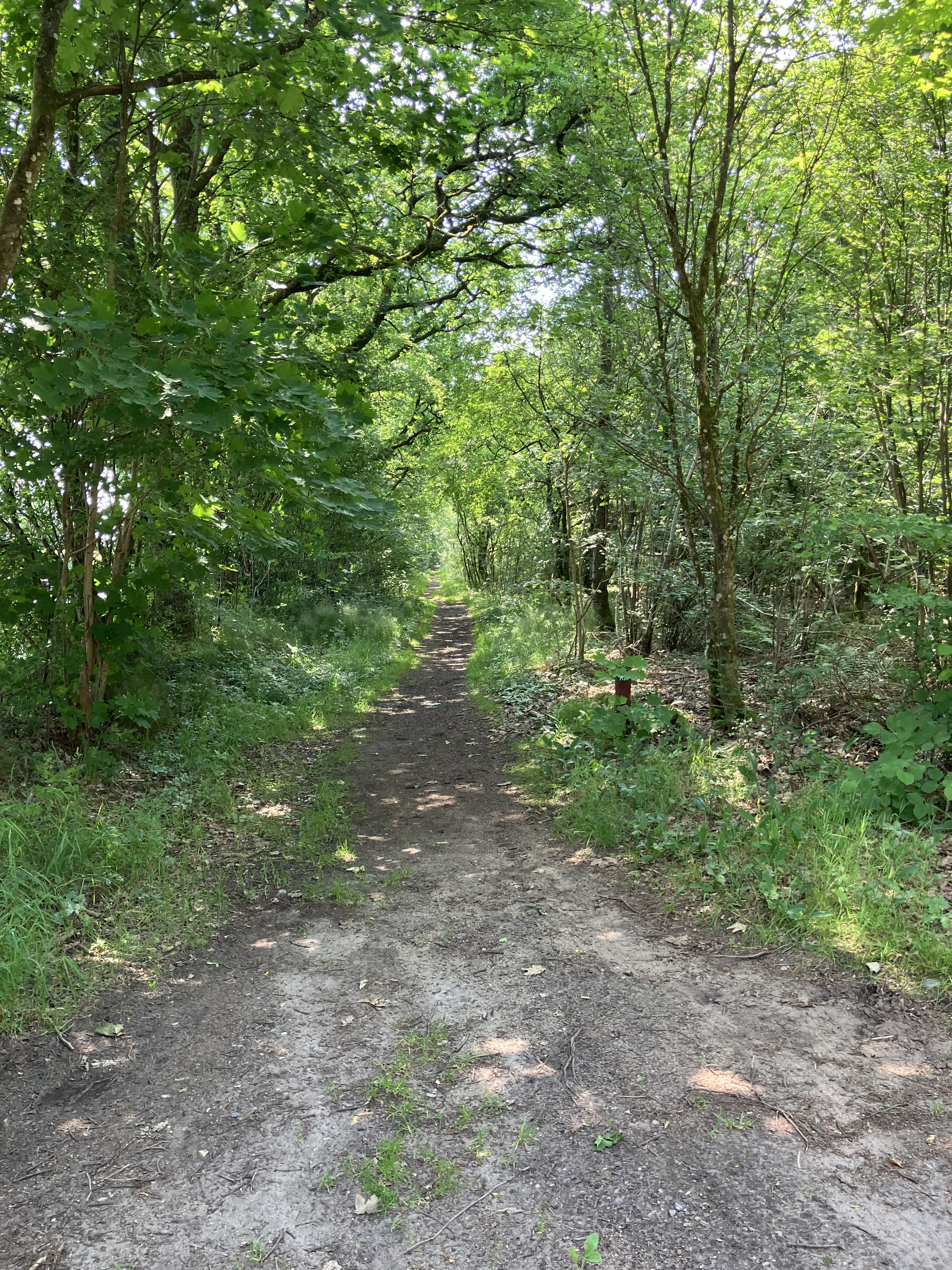 Tag med Gå-gruppen Viborg på en forfriskende gåtur