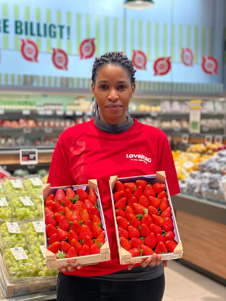 Løvbjerg Frederikshavn tilbyder storkøb af jordbær til særpris i dag