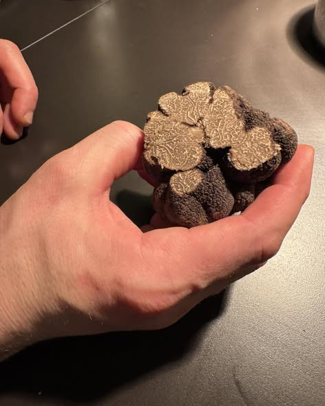 Østergade 1 klar til ny uge med fuldt hus i aften, men ledige pladser i morgen