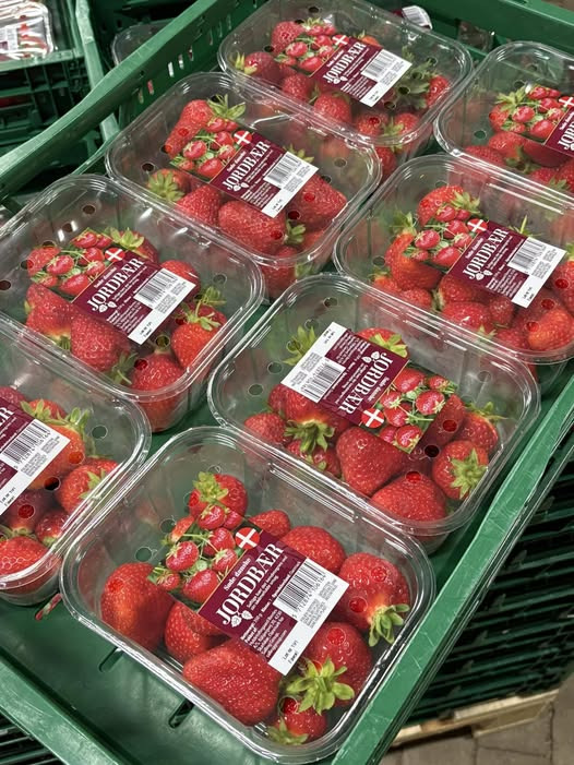 Friske danske jordbær hos Midtjydsk Gartnerhal - tilbud så længe lager haves