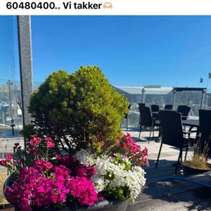 Opslagsbillede