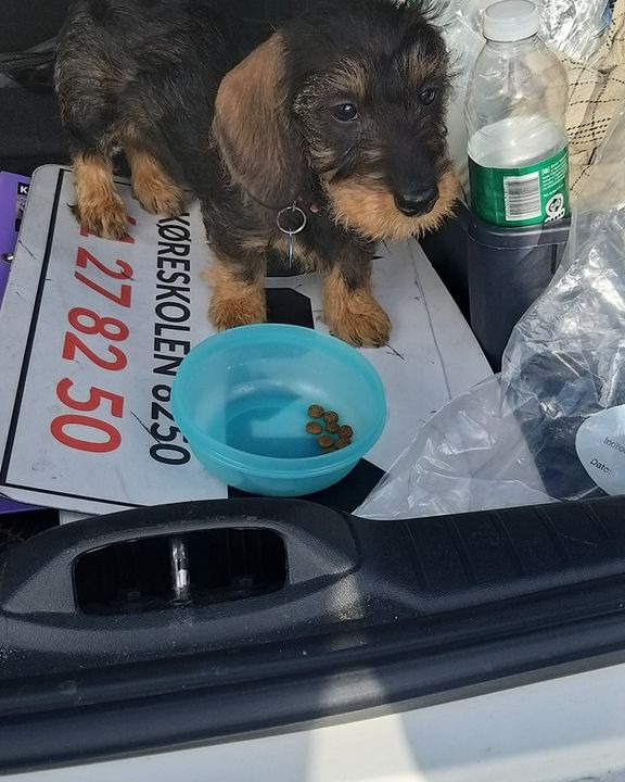 En finger på pulsen i Egå