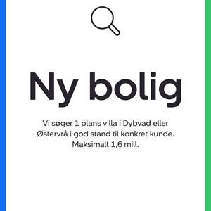 Opslagsbillede