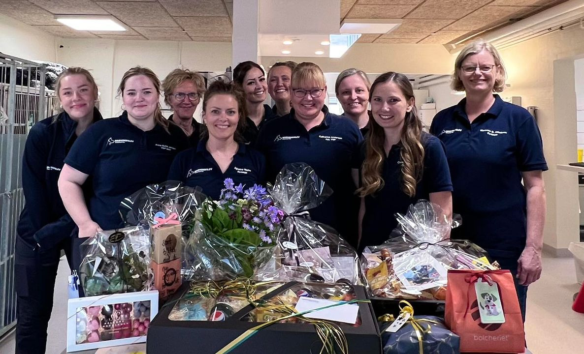 Det nyeste på Brønderslevs opslagstavle