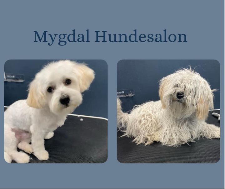 Hold trit med lokalområdet: Nyt fra Hjørring