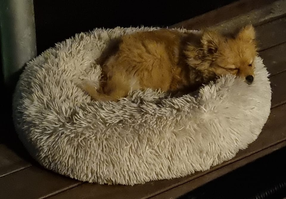 Opslagstavlen: Nyeste opdateringer fra Sæby