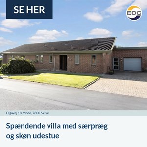 Opslagsbillede