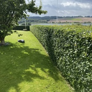 Opslagsbillede