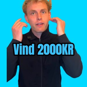 Opslagsbillede