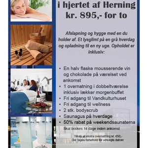 Opslagsbillede
