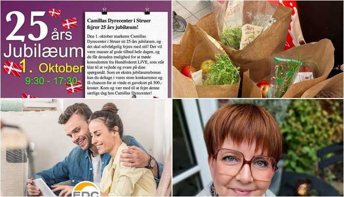 Nyt fra Lux By Jakobsen, CAMILLAS DYRECENTER, MIN KØBMAND I ASP og 1 anden