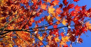 Seneste nyt fra lokalområdet på sociale medier