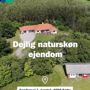 Opslagsbillede