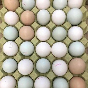 Opslagsbillede
