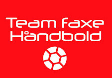 Super Søndag i Team Faxe Håndbold: En dag fuld af håndboldglæde og fællesskab