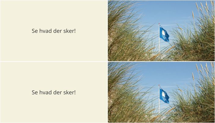 Aktiviteter ved Glesborg i den kommende weekend: Havoplevelser for alle