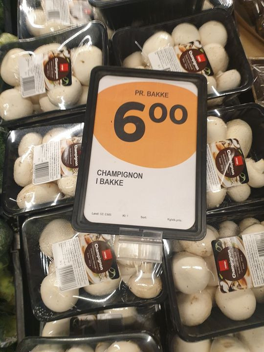 Hold dig ajour med dagens opdateringer fra Silkeborg