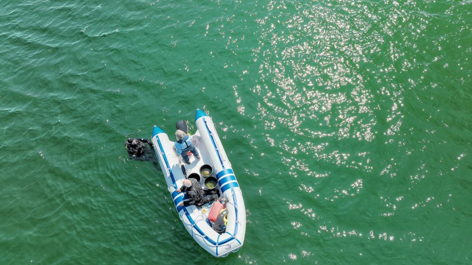Vær med til at gøre en forskel for vandnaturen på Havets Dag!