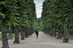 Aalborg Kommune opgraderer parkernes skraldesystem for renere opholdsområder